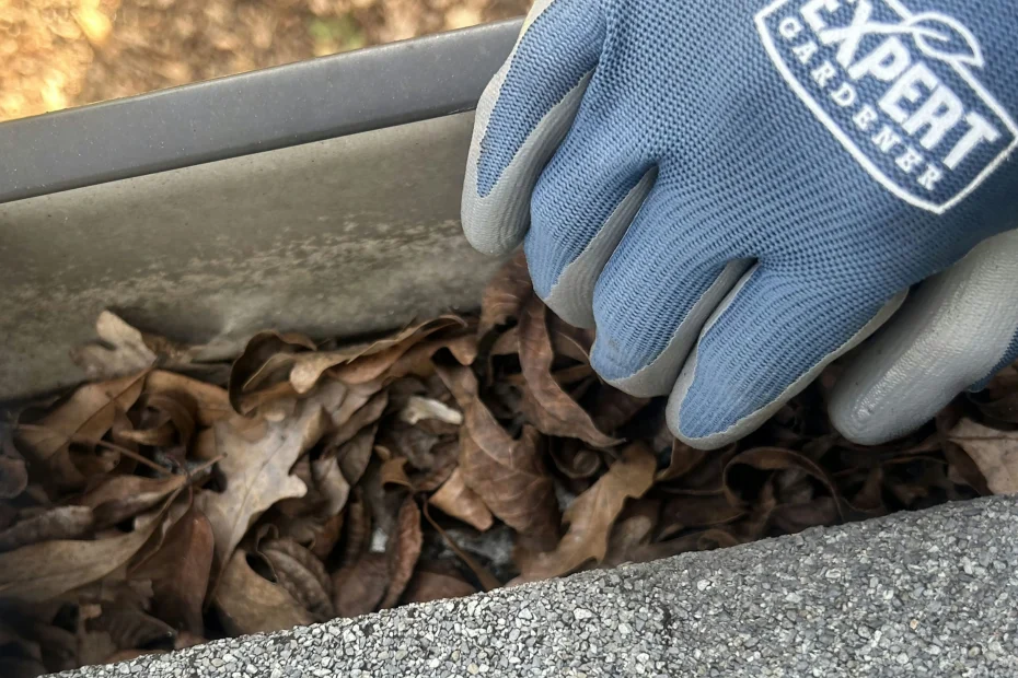 Gutter Cleaning Swannanoa