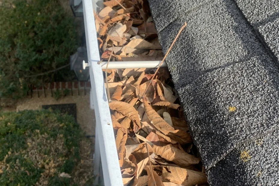 Gutter Cleaning Swannanoa