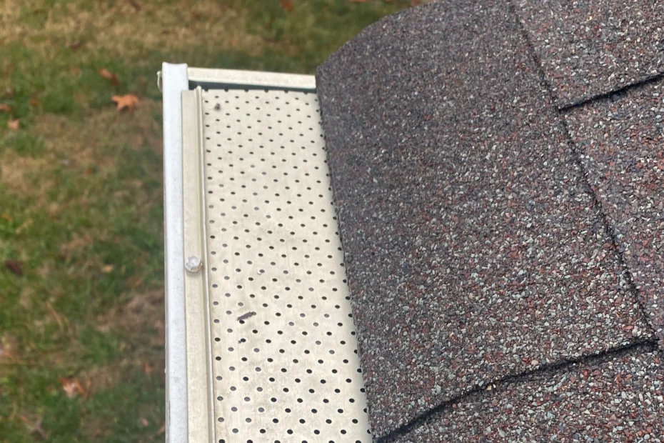 Gutter Cleaning Swannanoa